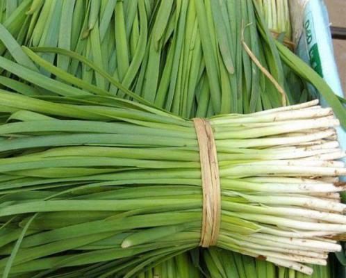 韭菜和韭黄谁的营养价值高？