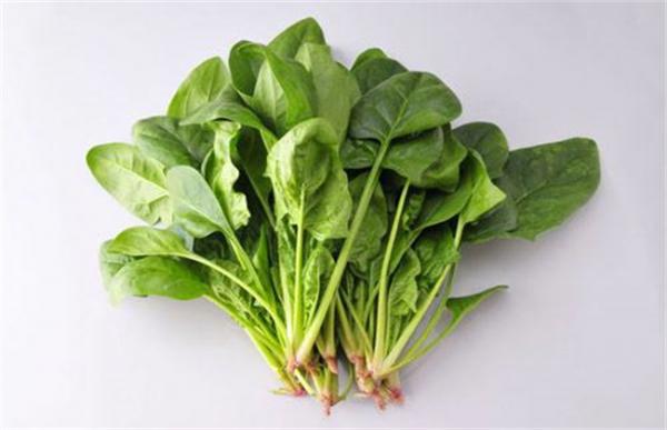 秋天种什么蔬菜