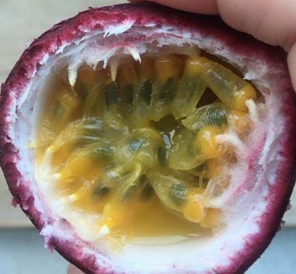 血糖高的人能不能吃百香果呢？